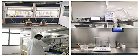 Our lab